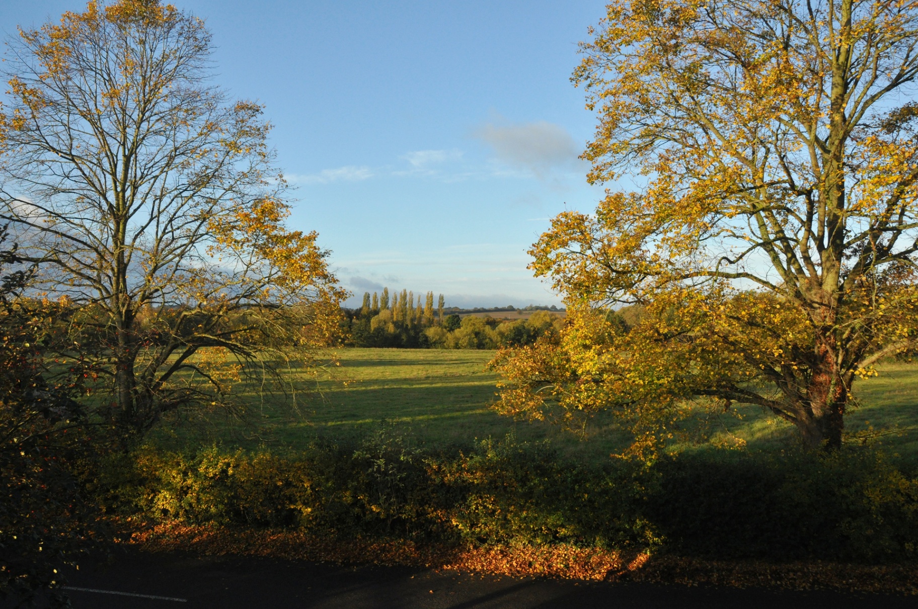 Open countryside along Odell Road in autumn